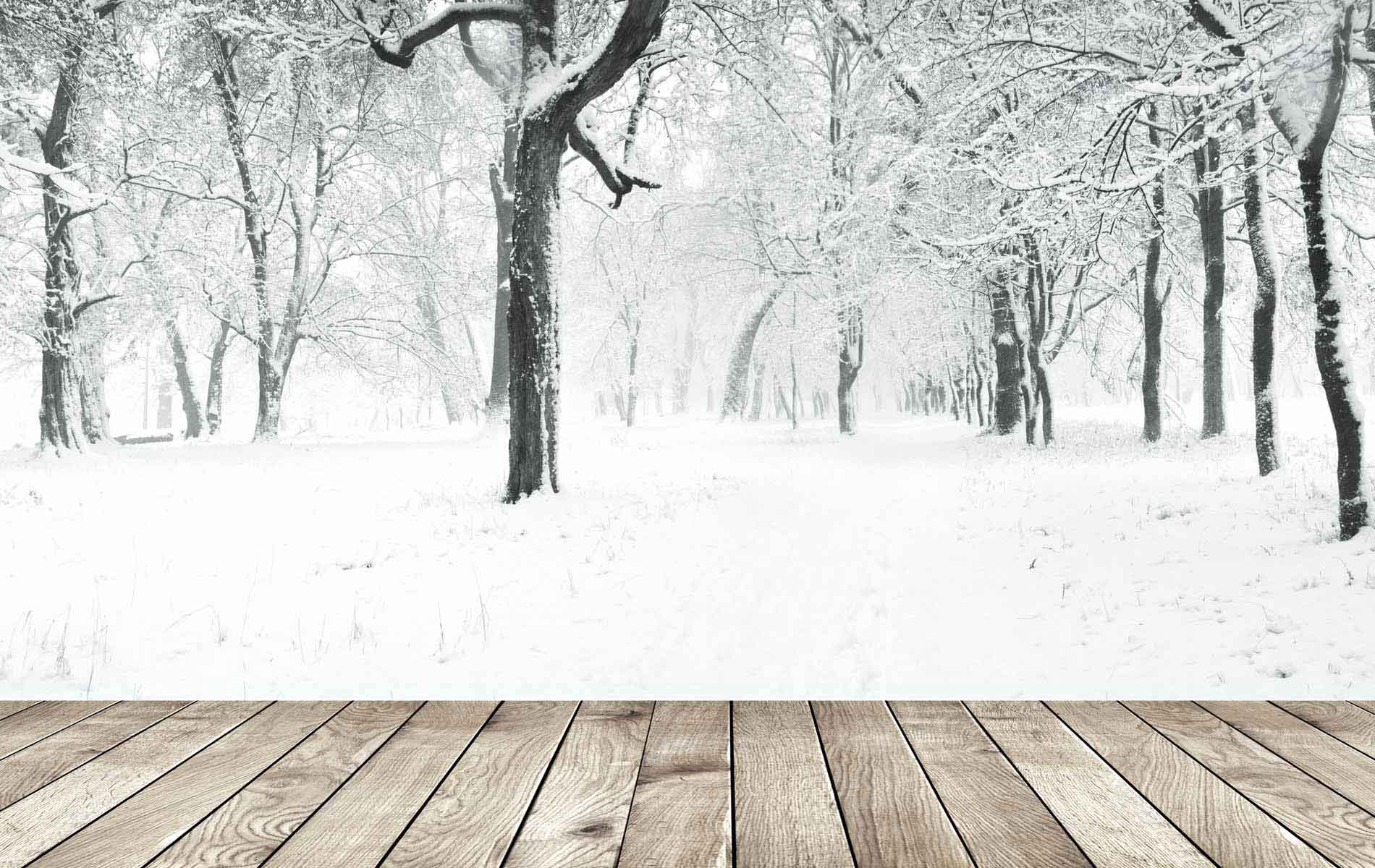 Promoção de Inverno