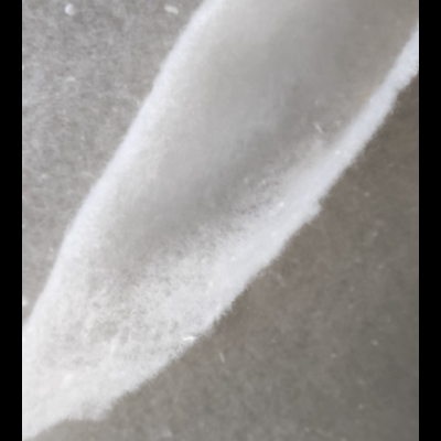 https://www.risquinhasebolinhas.com/product/copia-de-manta-100gr-sem-cola-2 https://www.risquinhasebolinhas.com/product/copia-de-manta-100gr-sem-cola-2