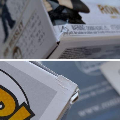 Funko POP! Harry Potter - Ron Weasley (in Devils Snare) (CAIXA DANIFICADA)