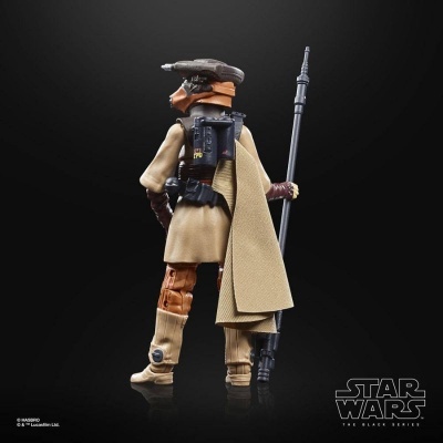 Star Wars Episode VI Black Series Archive Action Figure Leia Organa (Boushh)