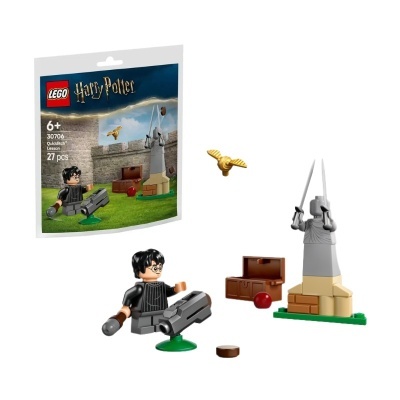 Conjunto LEGO Harry Potter 30706 Quidditch Lesson com figura, estátua e acessórios em plástico colorido