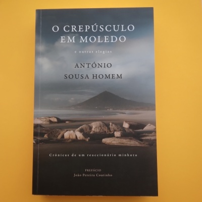 O Crepúsculo de Moledo, António Sousa Homem