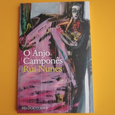 O Anjo Camponês, de Rui Nunes