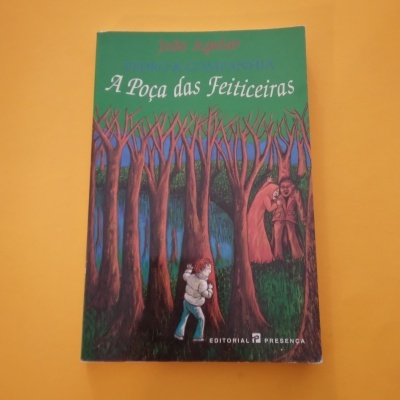 A Poça das Feiticeiras, João Aguiar