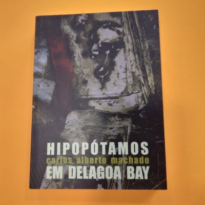 Hipopótamos em Delagoa Bay, Carlos Alberto Machado