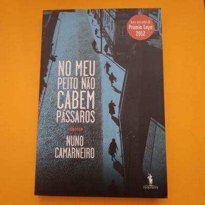 No meu Peito não Cabem Pássaros, Nuno Camarneiro