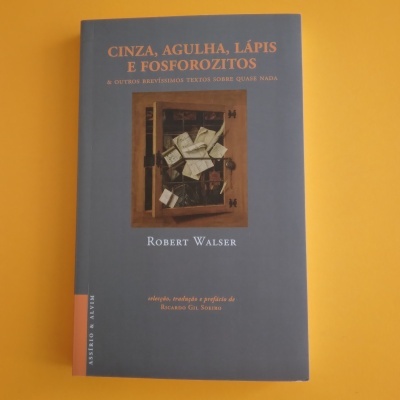 Cinza, Agulha, Lápis e Fosforozitos, Robert Walser