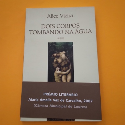 Dois Corpos Tombando na Água, Alice Vieira