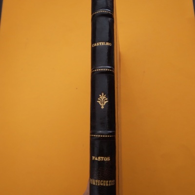 Fastos Portuguezes, Júlio de Castilho