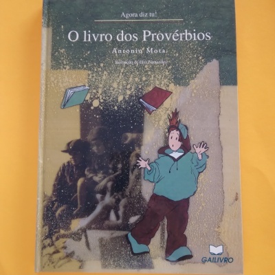 O Livro dos Provérbios, António Mota
