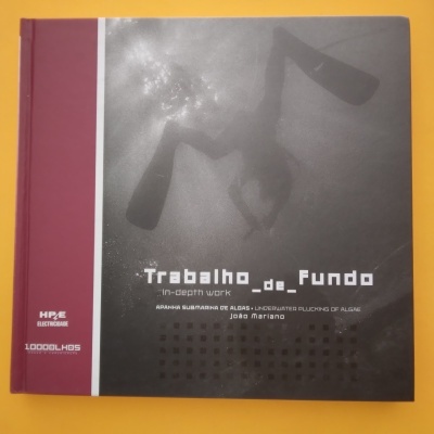 Trabalho_de_fundo, João Mariano