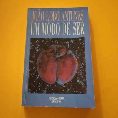 Um Modo de Ser, João Lobo Antunes