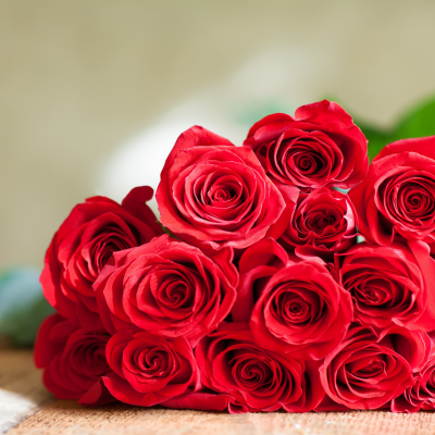 Rosas&#x20;&#x00E0;&#x20;la&#x20;carte