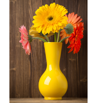 Gerberas&#x20;&#x00E0;&#x20;la&#x20;carte