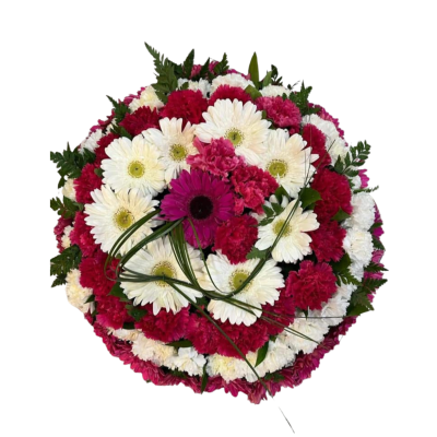 Coroa&#x20;F&#x00FA;nebre