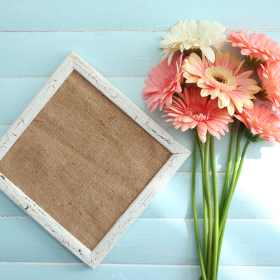 Gerberas&#x20;&#x00E0;&#x20;la&#x20;carte