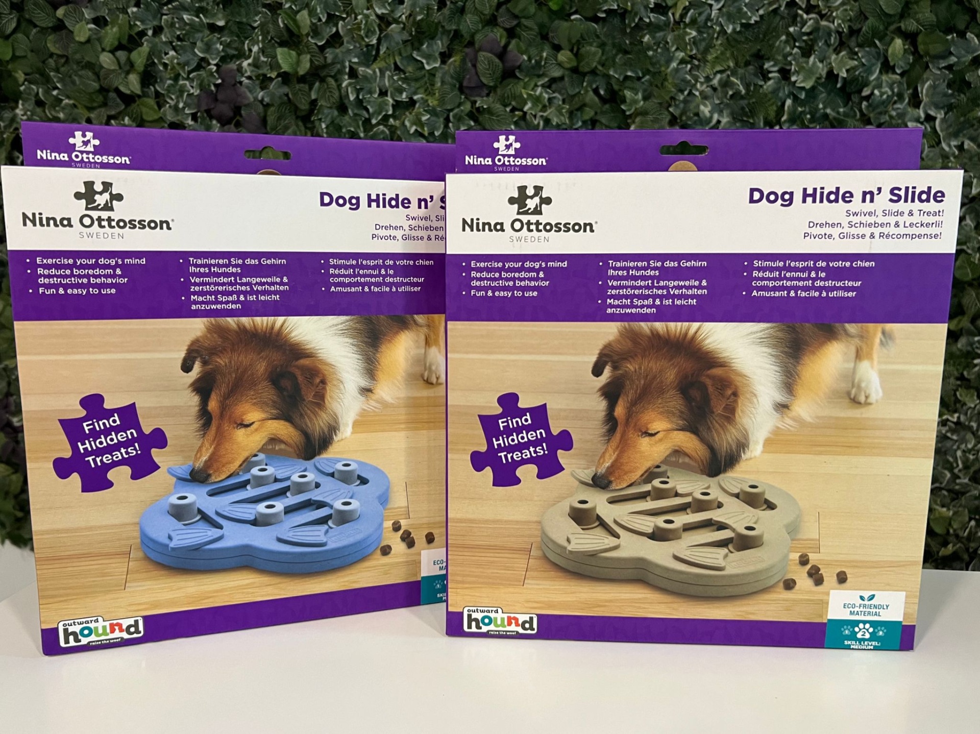 Dog Hide N Slide RuffDog