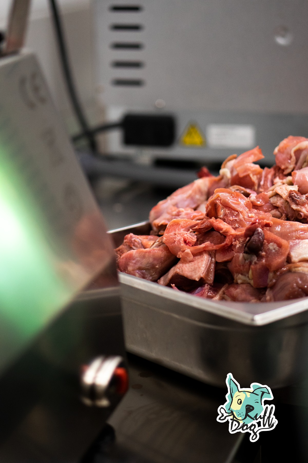 Alimentação Vegetariana no cão e no gato Alimentação Vegetariana no cão e no gato