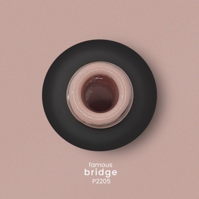 Verniz Gel PURPLE P2205 - Famous Bridge