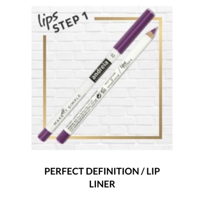 Lápis Delineador de Lábios Andreia - Perfect Definition 02