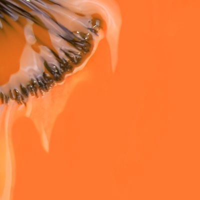 Verniz Gel Inocos 475 -  Maria Azulejo (Laranja Cerâmica)