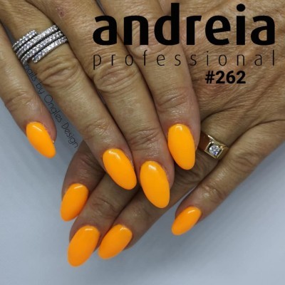 Verniz Gel Andreia 262