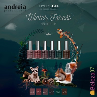 HYBRID GEL ANDREIA – 6 Cores da Coleção “WINTER FOREST”