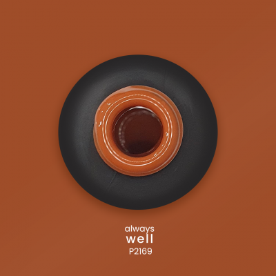 Verniz Gel PURPLE P2169 - Always Well