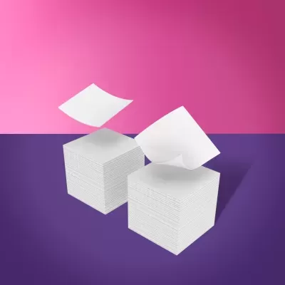 Toalhetes Staleks Sem Pêlo SMART (400 unidades)