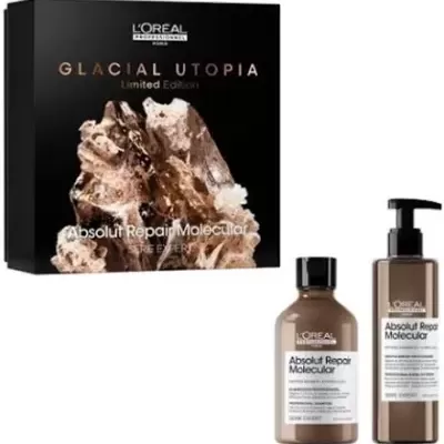 L'Oréal Limited Edition 2024 Coffret Absolut Repair Molecular Duo