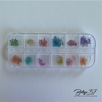 Caixa Nail Art Mix de Flores Secas - F01