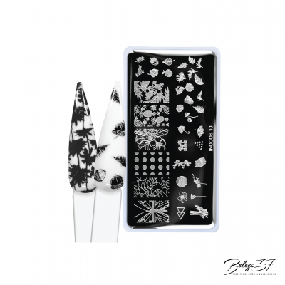 Placas Carimbo Inocos - 10 - Spring