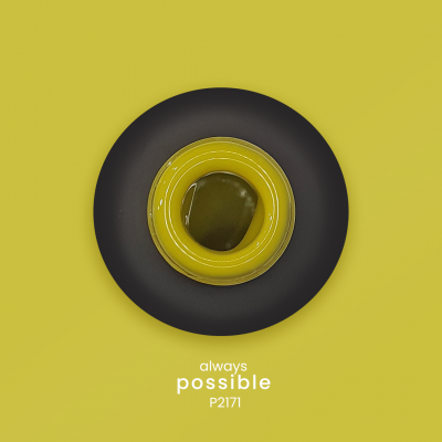 Verniz Gel PURPLE P2171 - Always Possible