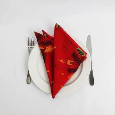 Mantel Individual/Servilleta/Camino de Mesa Candle