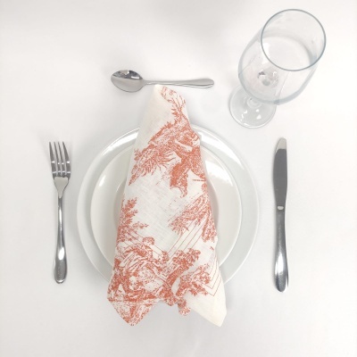 Mantel Individual Lino COL Toile De Jouy Terracota Four Line