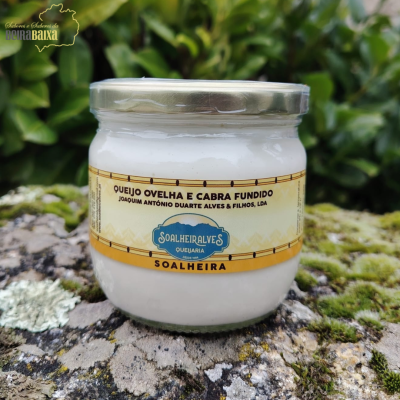 Frasco de queijo ovelha e cabra fundido com etiqueta amarela e azul sobre pedra com musgo