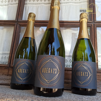 Adega 23 espumante bruto natural 2019 Un