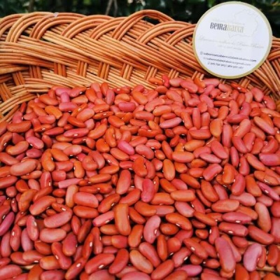 Feijão Vermelho da Lardosa, produção nacional tradicional