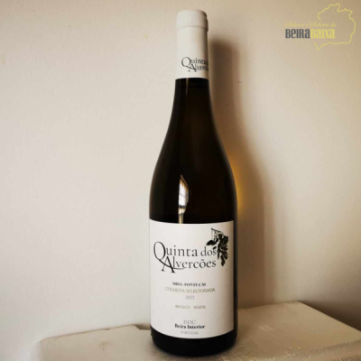 QA Branco colheita selecionada 2021 - 1 un