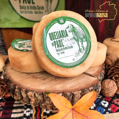 Ovelha curado do Paul