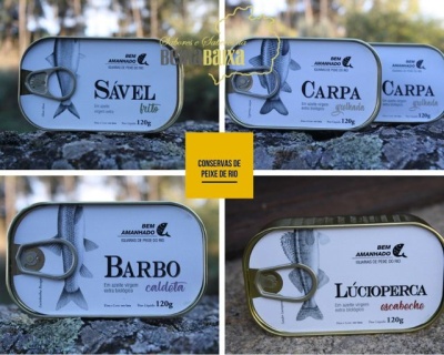 Conservas de peixe do rio