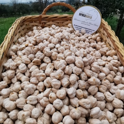 Grão de Bico da Lardosa, produção nacional tradicional