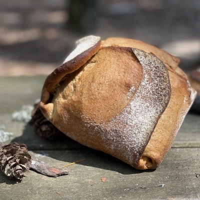 Pão Rosa Negra Melhor Pão Nutricional do Mundo 2023