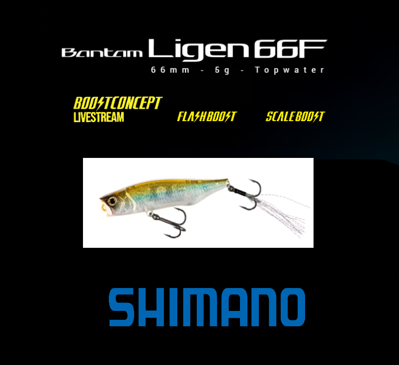 Shimano&#x20;Bantam&#x20;Ligen&#x20;66F