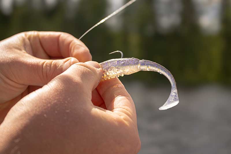 Fox Rage Scent Shad Fox Rage Scent Shad