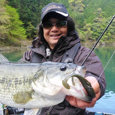 EVERGREEN&#x20;Head&#x20;Shaker