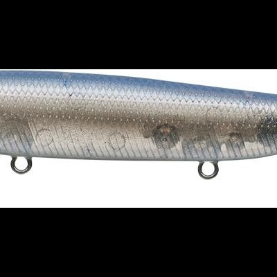 Amostra&#x20;EverGreen&#x20;Justine