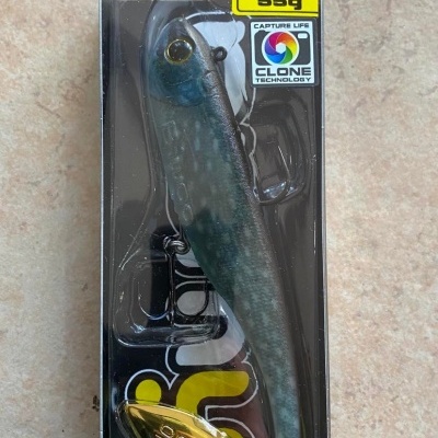 Biwaa&#x20;Divinator&#x20;55g