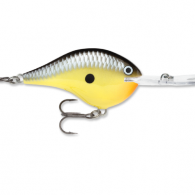 Amostra&#x20;Rapala&#x20;Crankbait&#x20;DT-20