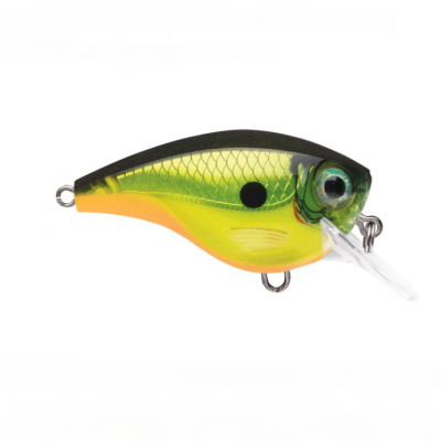 Amostra Rapala Xtreme BX Brat